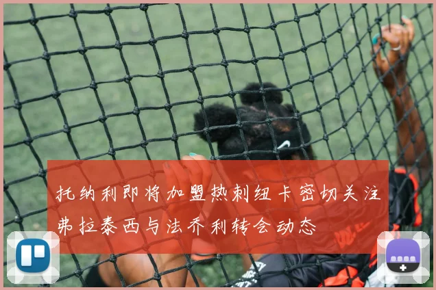 托纳利即将加盟热刺纽卡密切关注弗拉泰西与法乔利转会动态