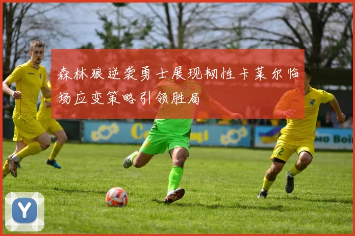 森林狼逆袭勇士展现韧性卡莱尔临场应变策略引领胜局